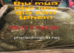 thu-mua-phe-lieu-kcn-my-phuoc-xem-gia-ngay-2023