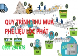 quy-trinh-thu-mua-phe-lieu-tan-noi-gia-chuan-hom-naypllp