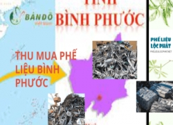 thu-mua-phe-lieu-binh-phuoc-gia-phe-lieu-binh-phuocpllp