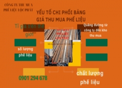 yeu-to-chi-phoi-anh-huong-den-gia-thu-mua-phe-lieu-pllp